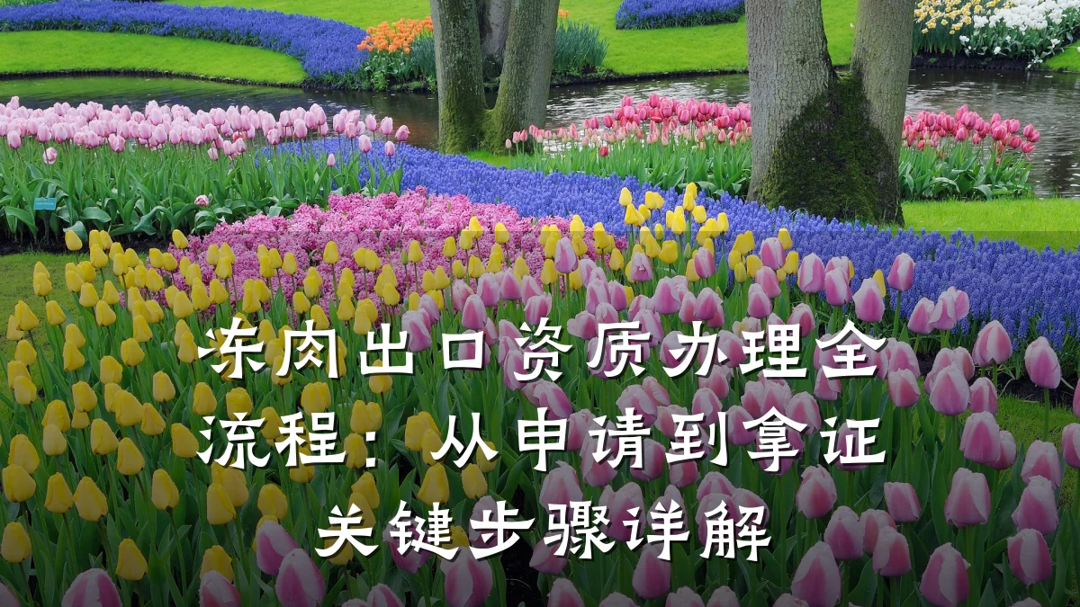 冻肉出口资质办理全流程：从申请到拿证关键步骤详解