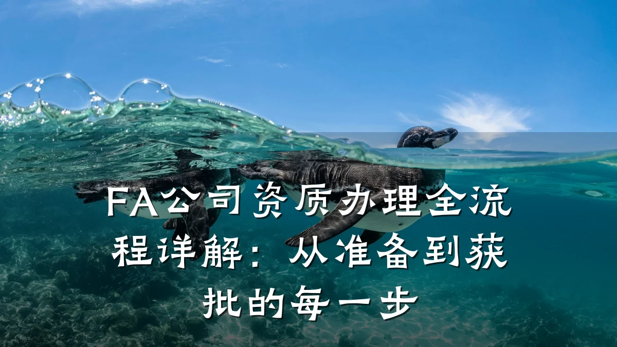 FA公司资质办理全流程详解:从准备到获批的每一步