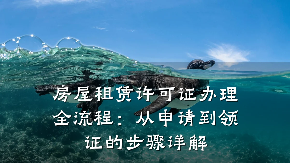 房屋租赁许可证办理全流程：从申请到领证的步骤详解