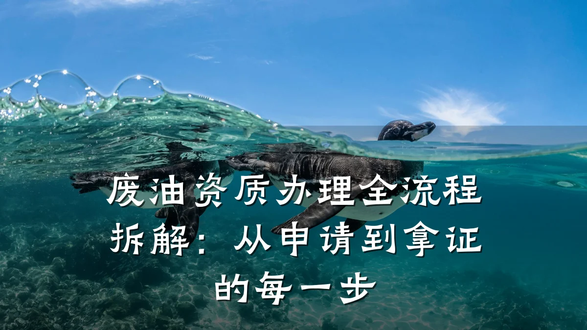 废油资质办理全流程拆解：从申请到拿证的每一步