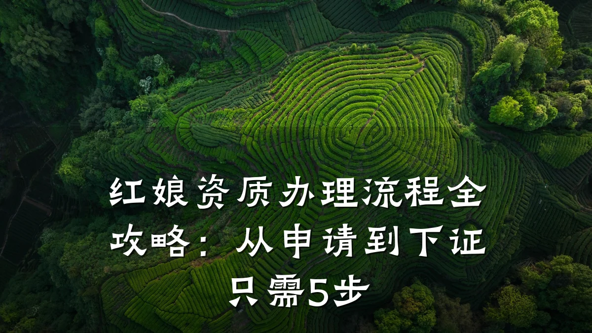 红娘资质办理流程全攻略：从申请到下证只需5步