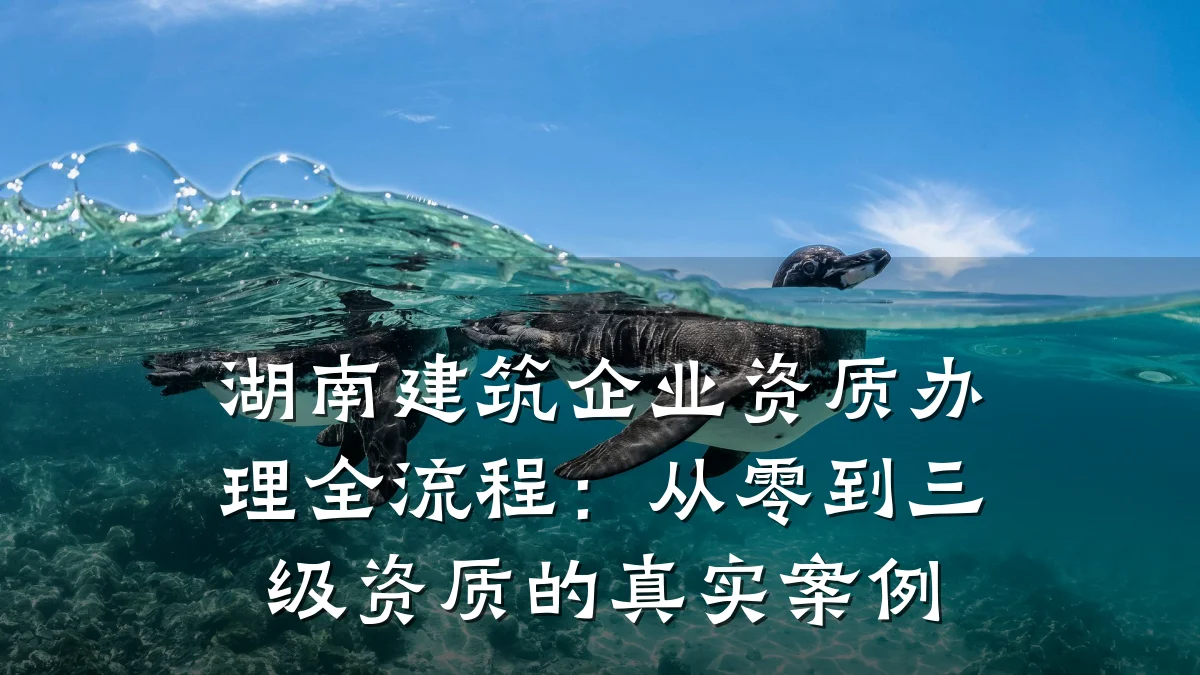 湖南建筑企业资质办理全流程：从零到三级资质的真实案例