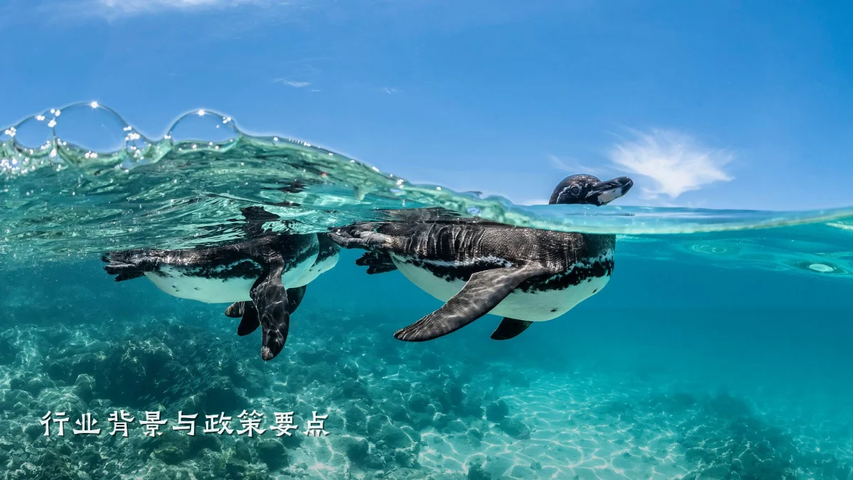 行业背景与政策要点