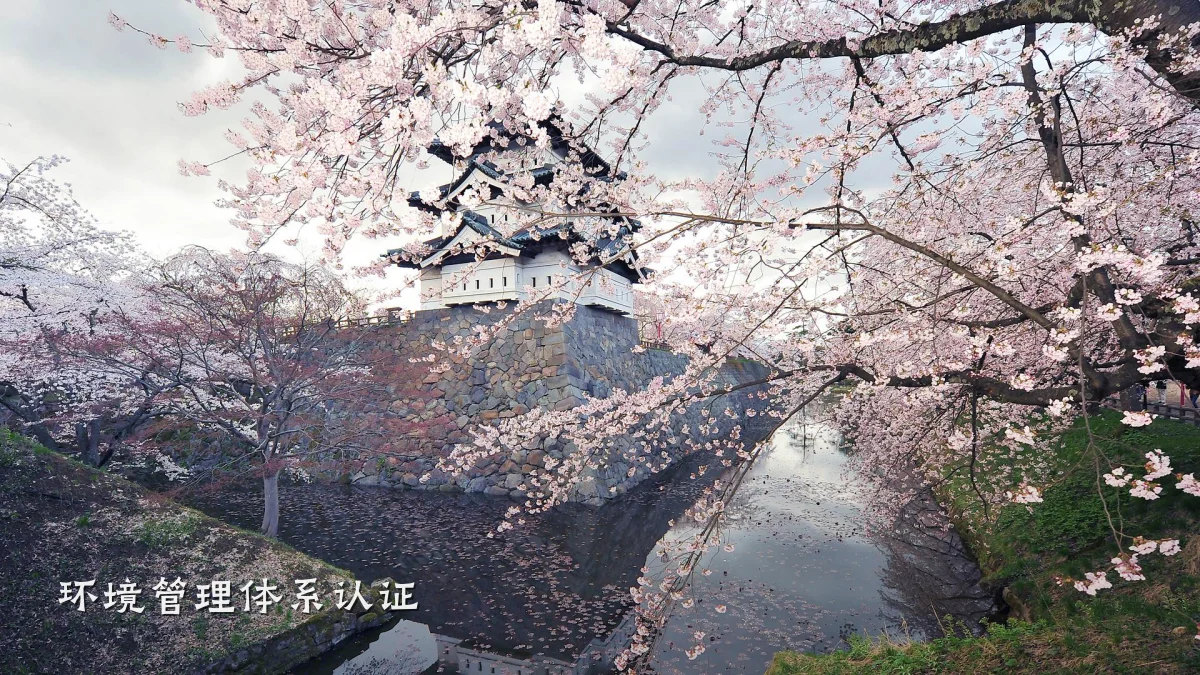 环境管理体系认证