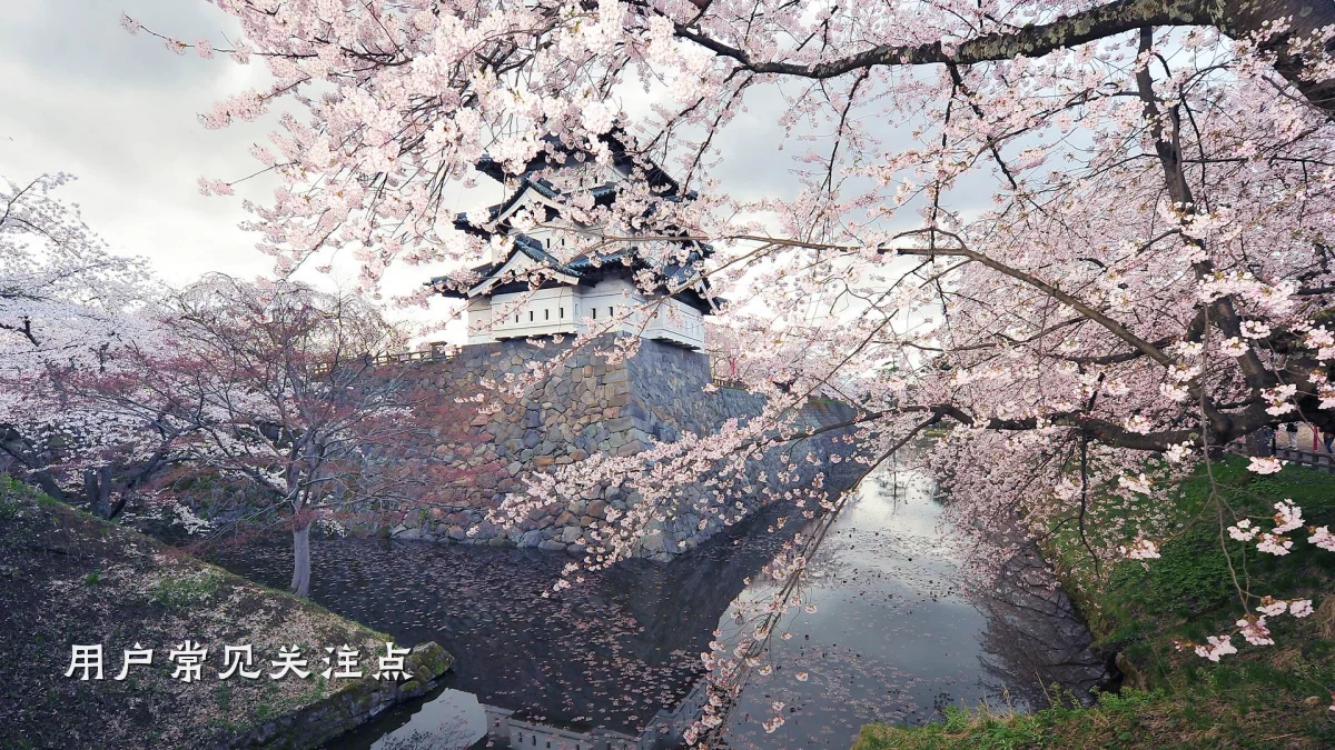 用户常见关注点