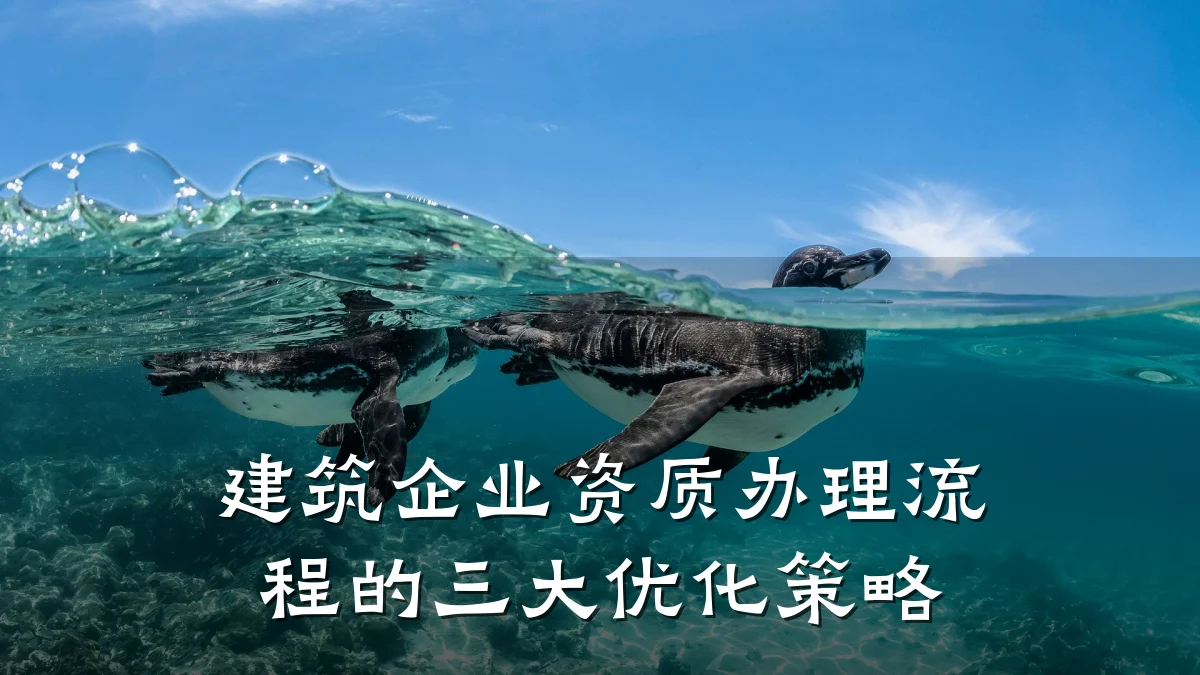 建筑企业资质办理流程的三大优化策略