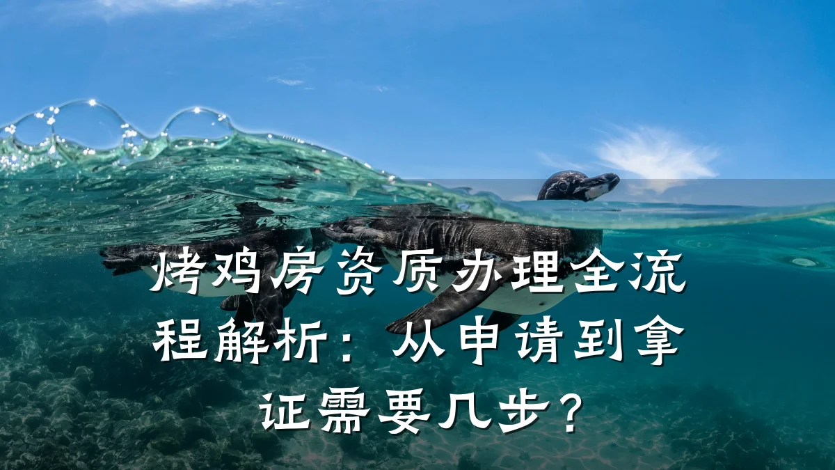 烤鸡房资质办理全流程解析:从申请到拿证需要几步?