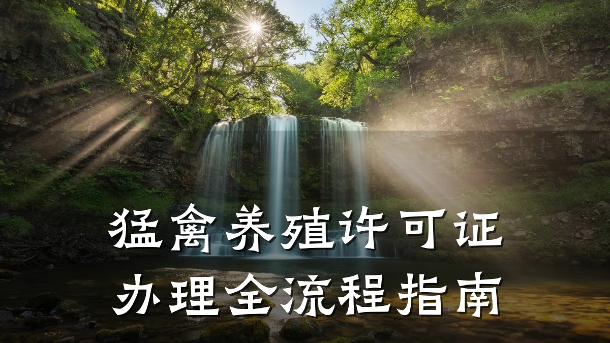 猛禽养殖许可证办理全流程指南