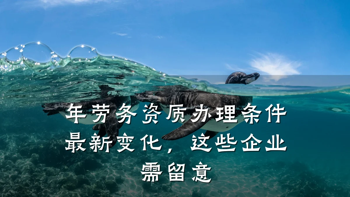年劳务资质办理条件最新变化,这些企业需留意