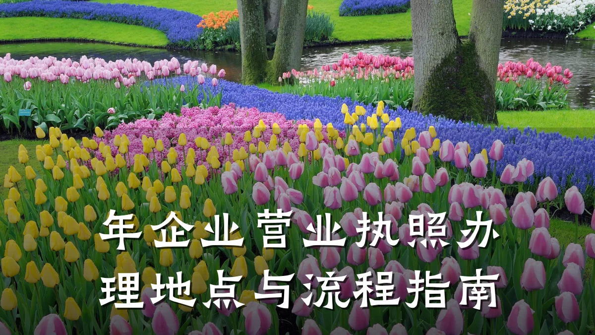 年企业营业执照办理地点与流程指南