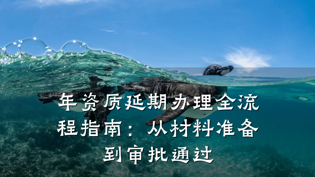 年资质延期办理全流程指南：从材料准备到审批通过