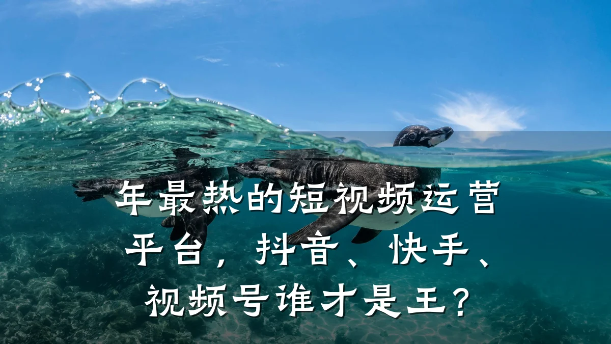 年最热的短视频运营平台,抖音、快手、视频号谁才是王?