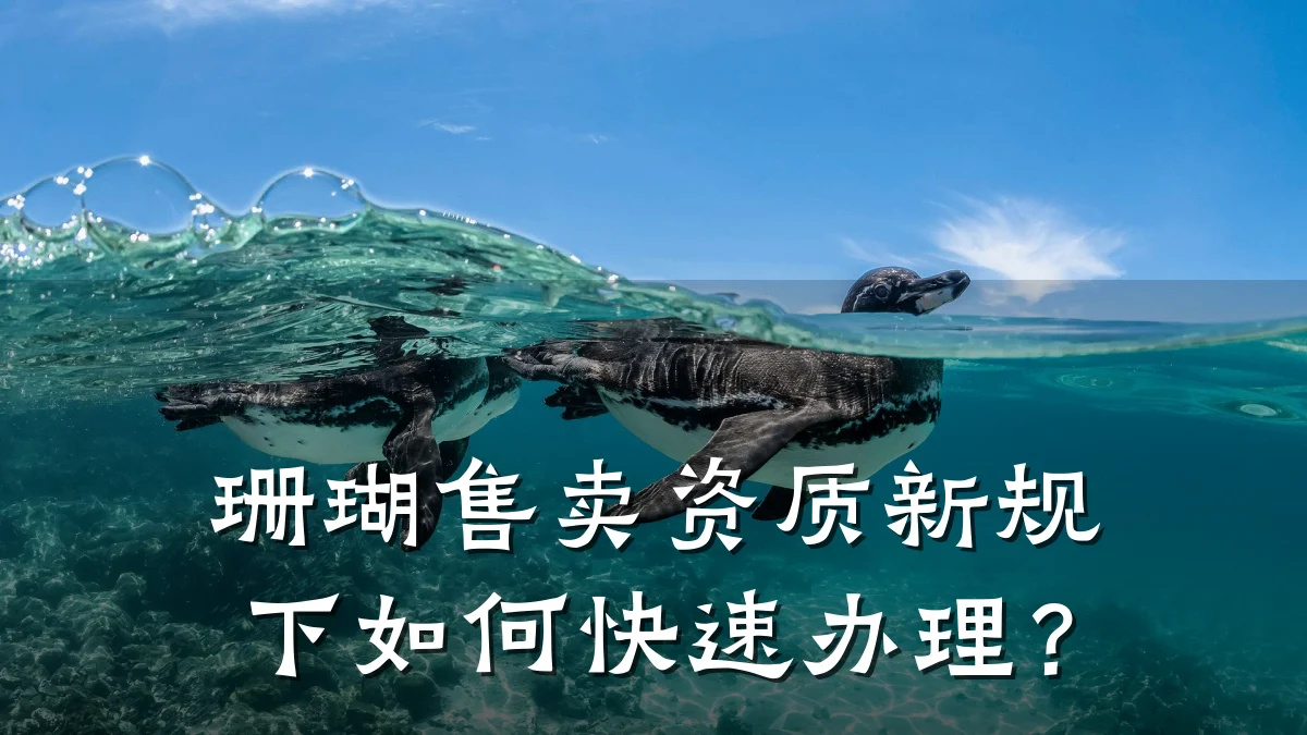 珊瑚售卖资质新规下如何快速办理？