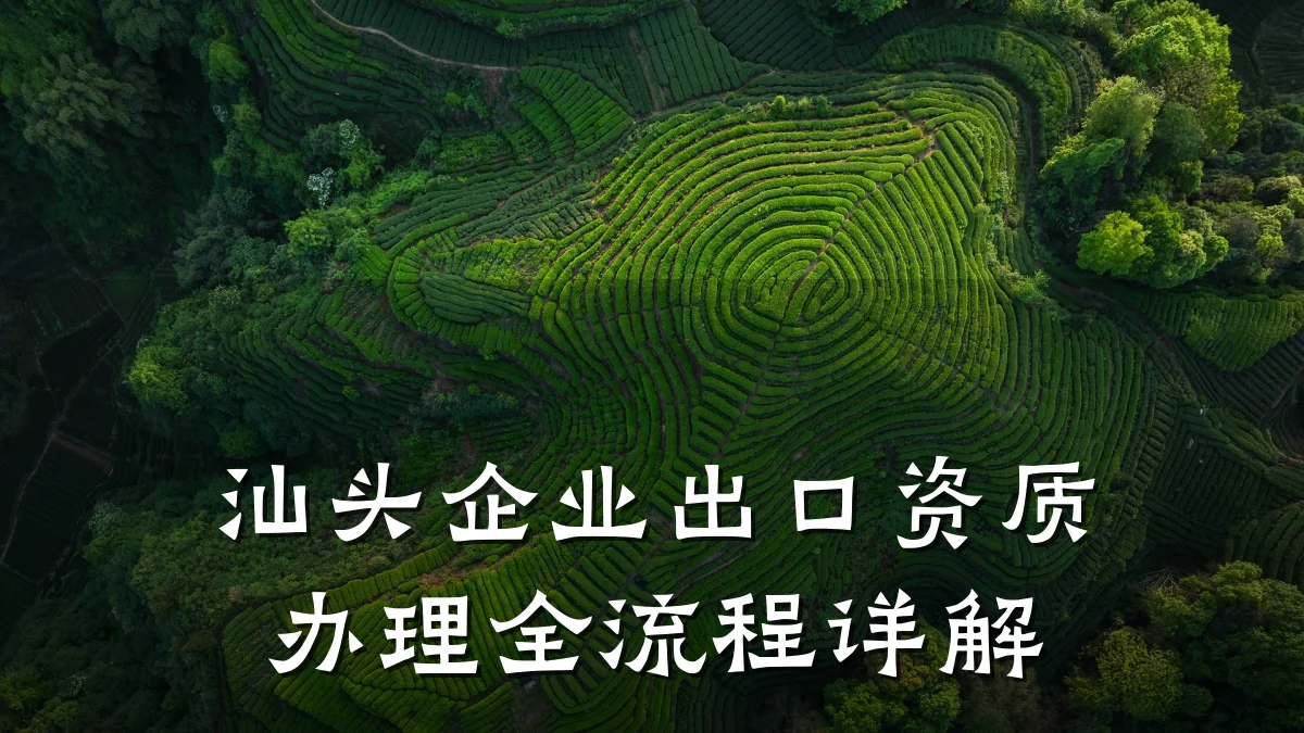 汕头企业出口资质办理全流程详解