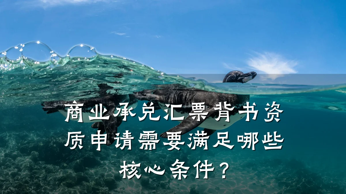 商业承兑汇票背书资质申请需要满足哪些核心条件？