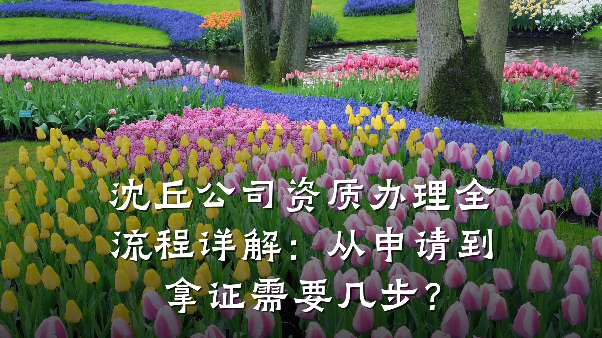 沈丘公司资质办理全流程详解：从申请到拿证需要几步？