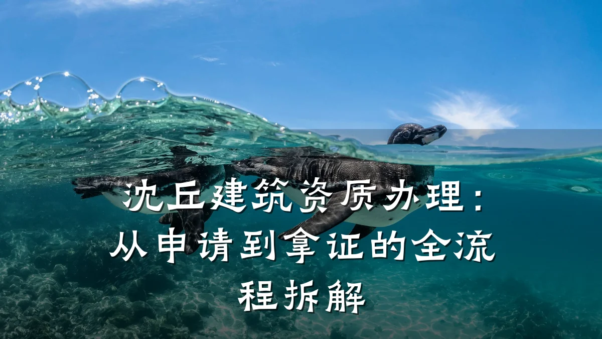 沈丘建筑资质办理：从申请到拿证的全流程拆解