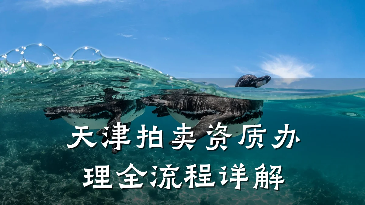 天津拍卖资质办理全流程详解