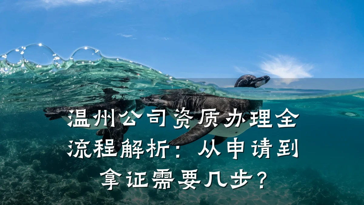 温州公司资质办理全流程解析：从申请到拿证需要几步？