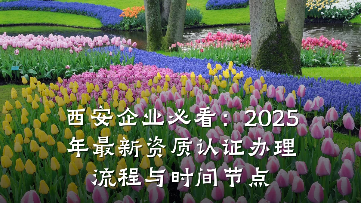 西安企业必看：2025年最新资质认证办理流程与时间节点