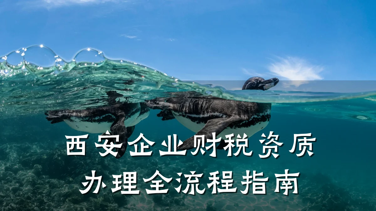 西安企业财税资质办理全流程指南