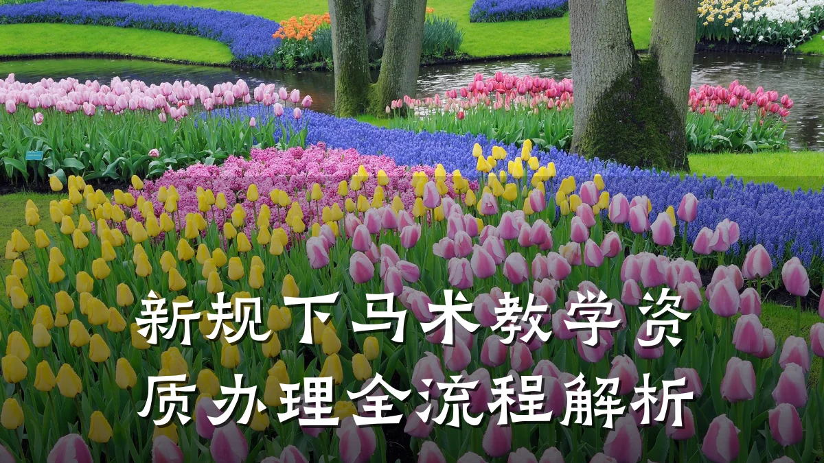 新规下马术教学资质办理全流程解析