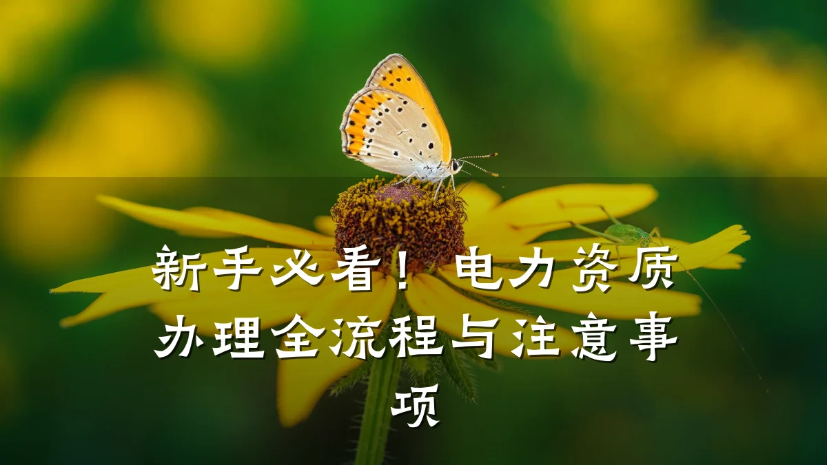 新手必看！电力资质办理全流程与注意事项