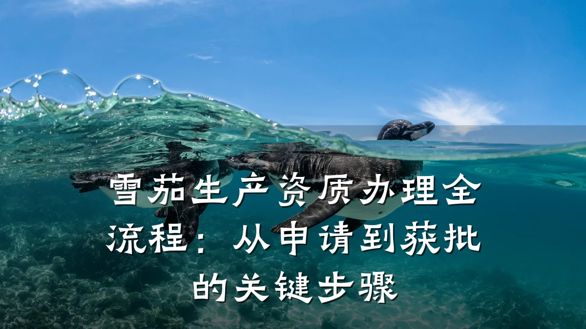 雪茄生产资质办理全流程：从申请到获批的关键步骤