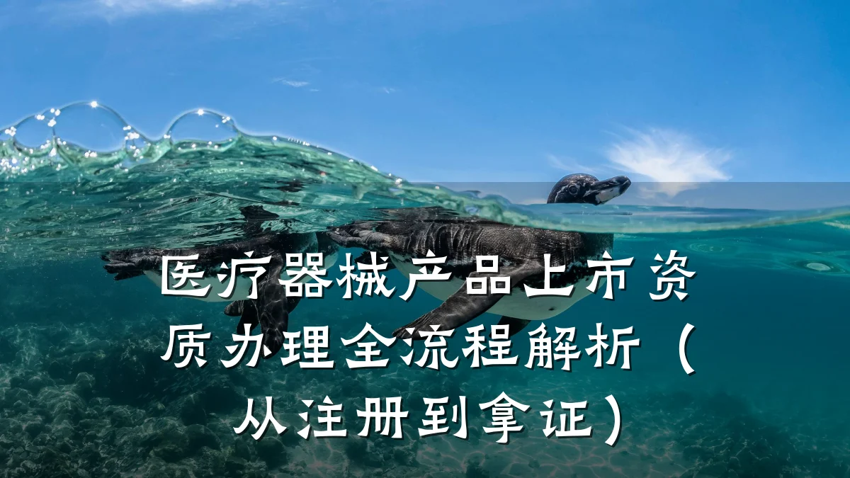 医疗器械产品上市资质办理全流程解析（从注册到拿证）