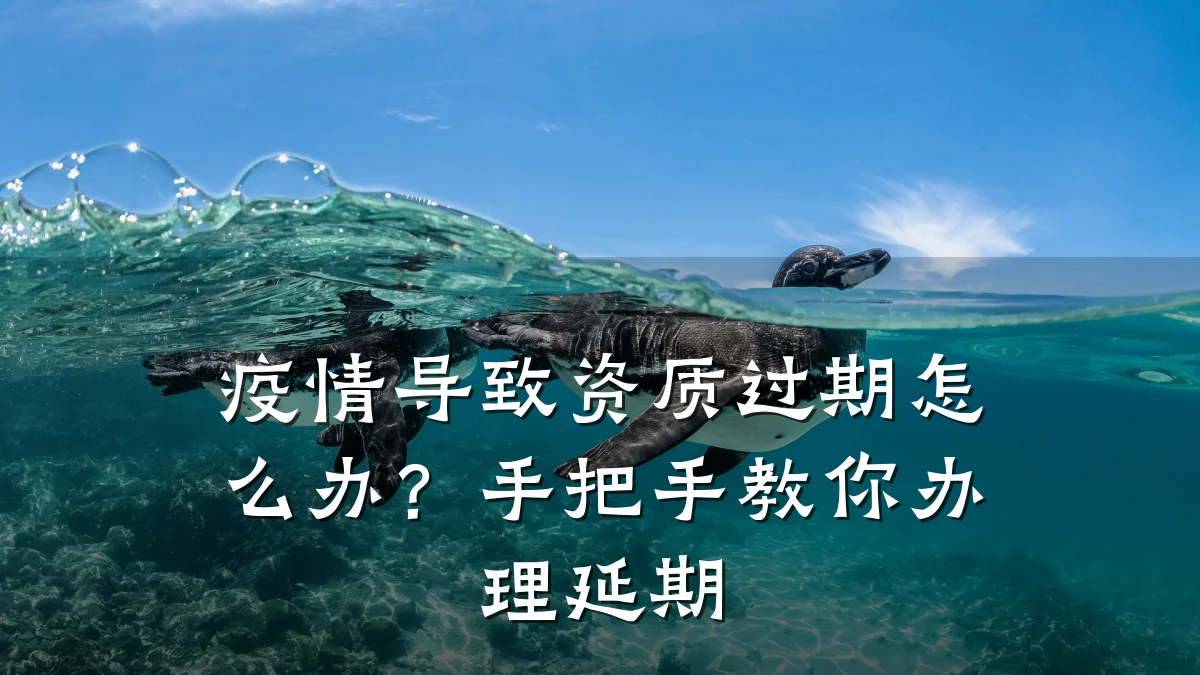 疫情导致资质过期怎么办？手把手教你办理延期