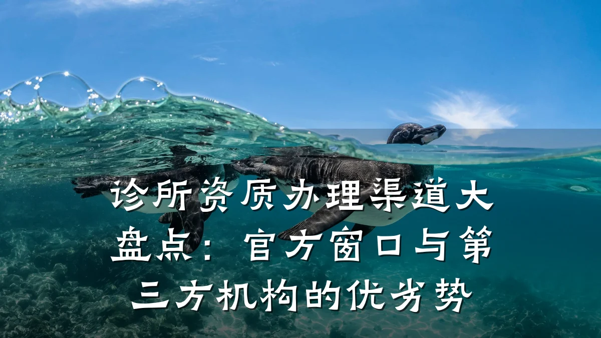 诊所资质办理渠道大盘点：官方窗口与第三方机构的优劣势