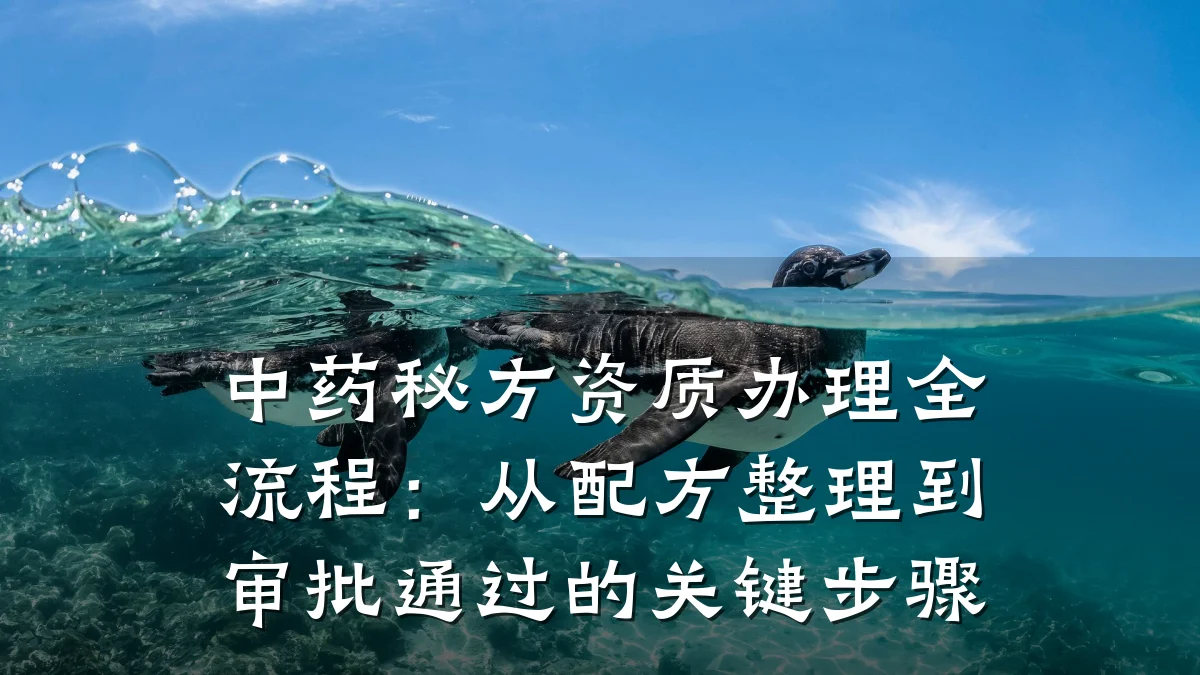中药秘方资质办理全流程:从配方整理到审批通过的关键步骤