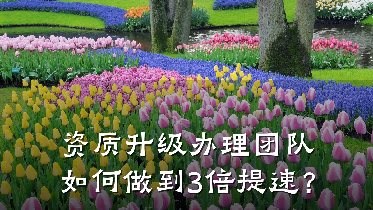 资质升级办理团队如何做到3倍提速？