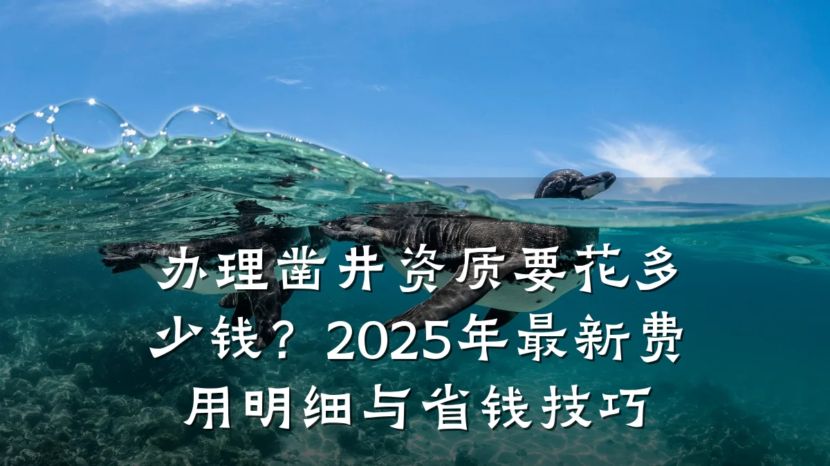 办理凿井资质要花多少钱？2025年最新费用明细与省钱技巧
