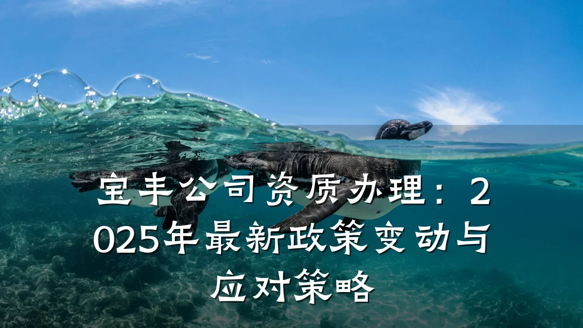 宝丰公司资质办理：2025年最新政策变动与应对策略