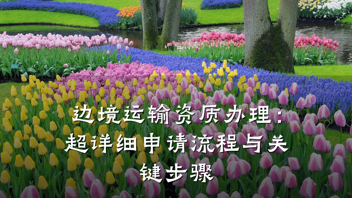 边境运输资质办理：超详细申请流程与关键步骤