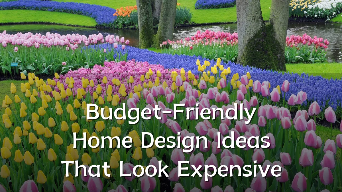 Budget-Friendly Home Design Ideas That Look Expensive