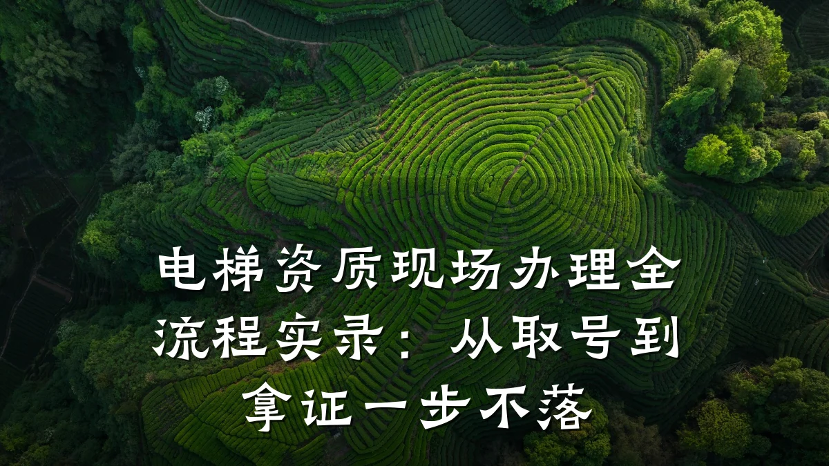 电梯资质现场办理全流程实录：从取号到拿证一步不落
