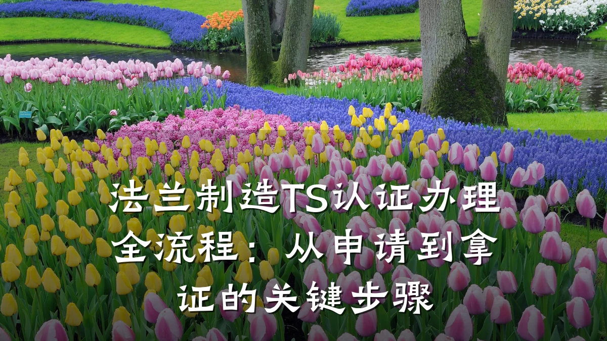 法兰制造TS认证办理全流程：从申请到拿证的关键步骤