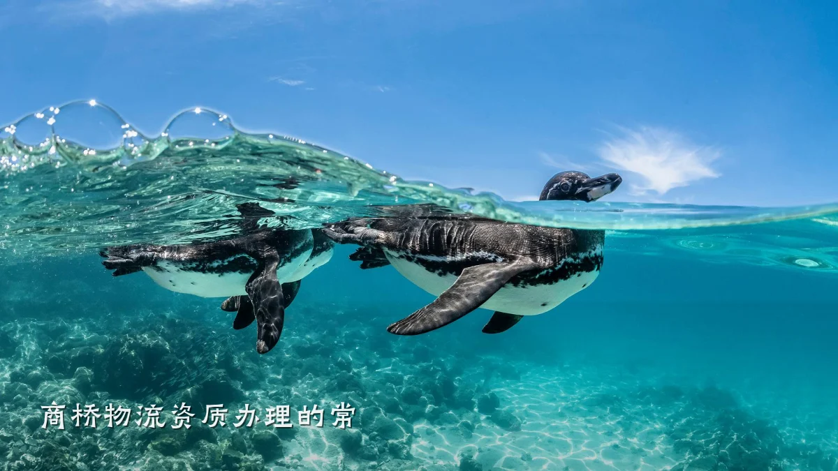 商桥物流资质办理的常