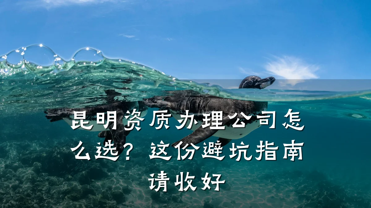 昆明资质办理公司怎么选？这份避坑指南请收好