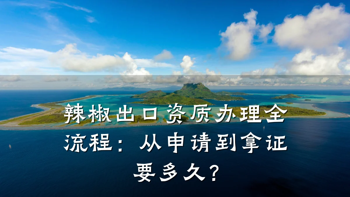 辣椒出口资质办理全流程：从申请到拿证要多久？
