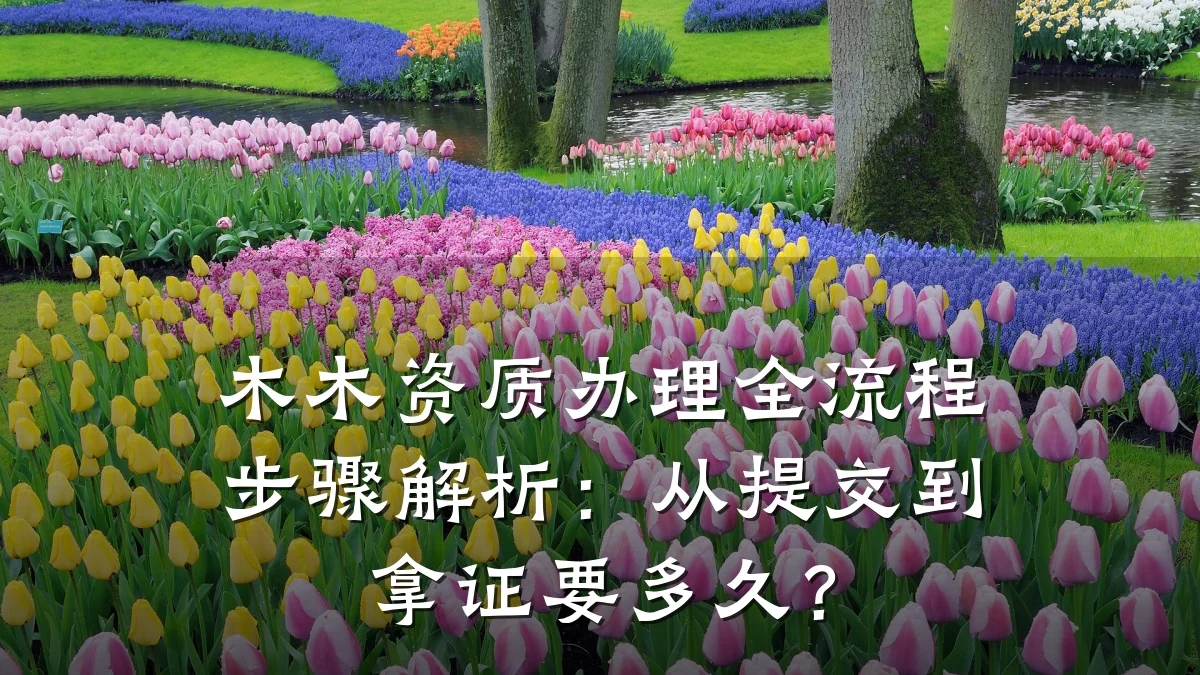 木木资质办理全流程步骤解析：从提交到拿证要多久？