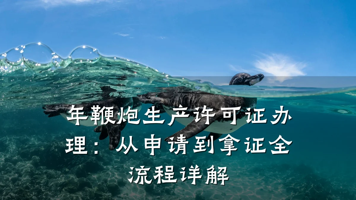 年鞭炮生产许可证办理：从申请到拿证全流程详解