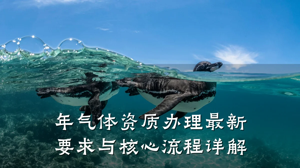 年气体资质办理最新要求与核心流程详解