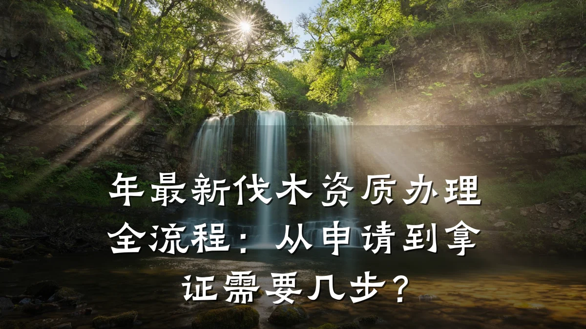 年最新伐木资质办理全流程：从申请到拿证需要几步？
