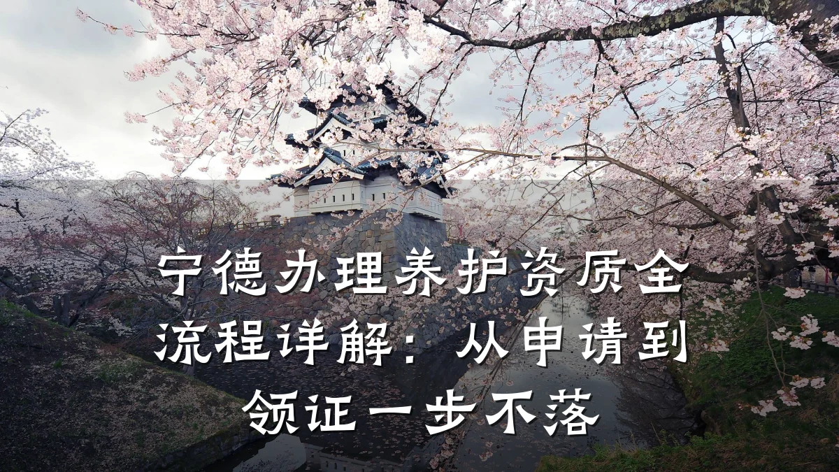 宁德办理养护资质全流程详解:从申请到领证一步不落