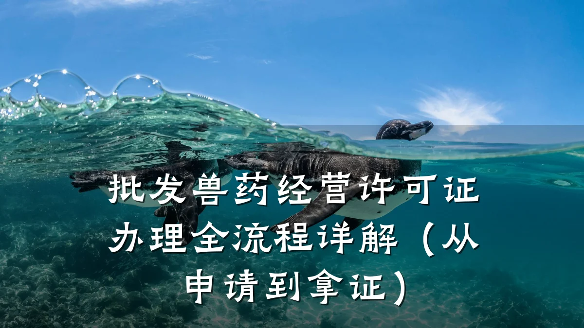 批发兽药经营许可证办理全流程详解（从申请到拿证）