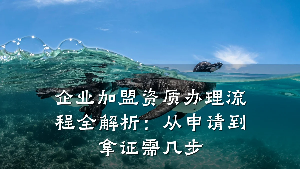 企业加盟资质办理流程全解析：从申请到拿证需几步