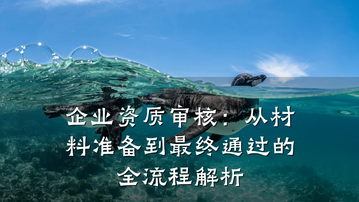 企业资质审核:从材料准备到最终通过的全流程解析